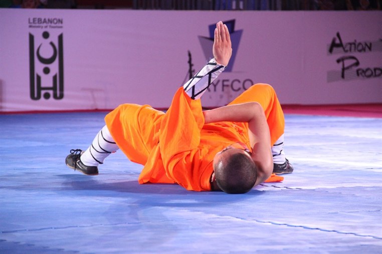 Martial Arts Festival